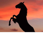 ~* Sunset Equestrian Stables *~