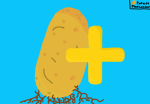 Potaco Productions