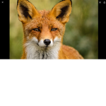 I am nice _to everyone _only if you are nice_back