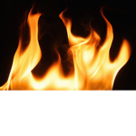 The FireForce