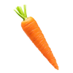 carrot friend