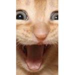 EPIC GAMERSSSSSSSSSSSSS lol