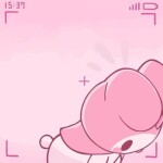  𐐪𐑂 ♡ 𐐪𐑂