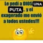 Los perros xD