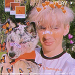 Lil Flamingos