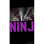 Nin j team