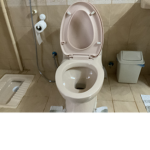 mr flush