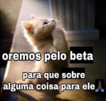 Loja do Viny