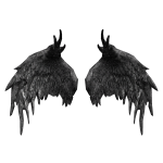 Black Dragon Wings