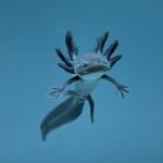 water mosters