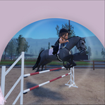 Laila’s Horse Adventures