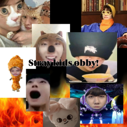 Stray kids obby!