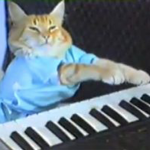 DJcat inc.
