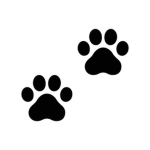 Petite Paws Studio