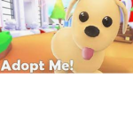 Trading pets~adopt me~