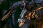 The Eragon Fan group