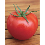 ~Lil Tomato~