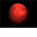 The Order of the Red Moon