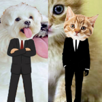 El Perro Topero Fan Grupo