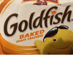 GOLD FISH TEAM!!!