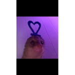 OW A OW A