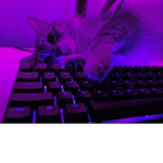 -$AD-