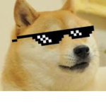 The Doge Association Club