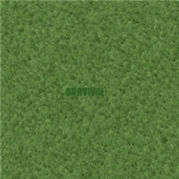 SURVIVAL