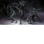 The xeno division/AA