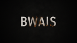 the BWAIS
