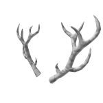 White Sparkle Time Antlers