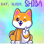 Shiba doggo fans