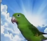 God papagalaki