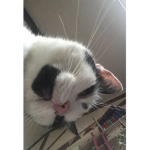 Seren@