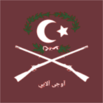 19. Mecidiye Fırkası