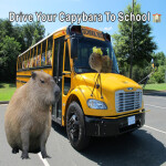 Drive Your Capybara To School