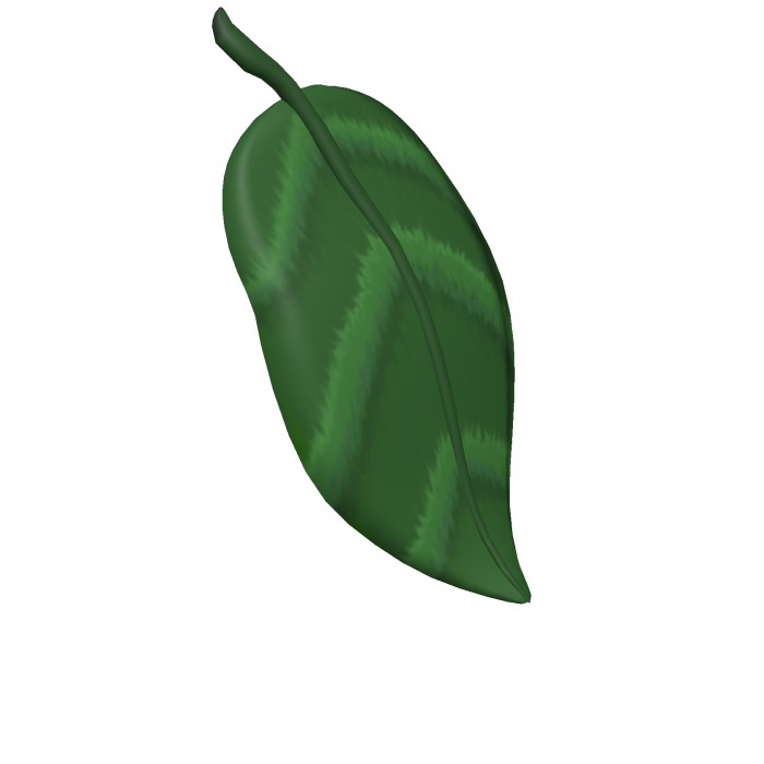 Cottage core Fairy leaf cape