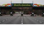 Bush gardens willams
