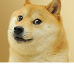 Doge Club [Offical]