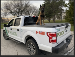 Hillview County K-9