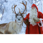 Santa’s Reindeer’s