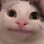 beluga.EXE