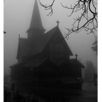 Apicem Viduae Hospice