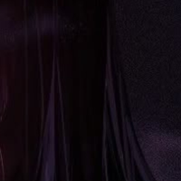 𝕏