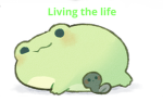 Welcome to froggy group!!