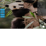 My mighty little pandas