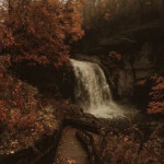 ⋆｡°✩🍂✩°｡⋆