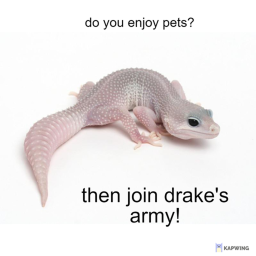drake's wonderland