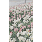 Luv square garden