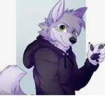 T-F-P - The Furry Place